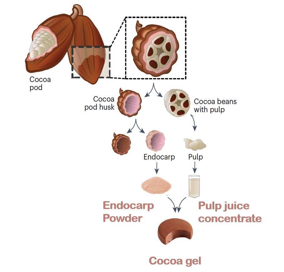 Valorizing cocoa pod husk